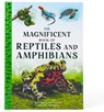 The Magnificent Book of Reptiles and Amphibians - Tom Jackson - 9798886741636