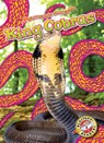 King Cobras - Suzane Nguyen - 9798886870404
