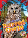 Barred Owls - Rachael Barnes - 9798886879780