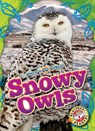 Snowy Owls - Rachael Barnes - 9798886879810