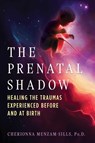 The Prenatal Shadow - Cherionna Menzam-Sills - 9798888501146