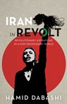 Iran in Revolt - Hamid Dabashi - 9798888902660