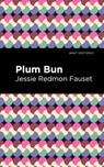Plum Bun: A Novel Without a Moral - Jessie Redmon Fauset - 9798888975855
