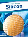 Silicon - Dalton Rains - 9798889980797