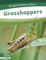 Grasshoppers - Dalton Rains - 9798889981770