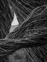 Patrick Dougherty | James Florio: Sticks - Patrick Dougherty - 9798890181015
