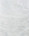 Judy Tuwaletstiwa: Mapping Water (Reprint) - Judy Tuwaletstiwa - 9798890181053