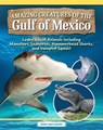 Amazing Creatures of the Gulf of Mexico: Learn about Animals Including Manatees, Seahorses, Hammerhead Sharks, and Vampire Squids! - Amie Jane Leavitt - 9798890941688