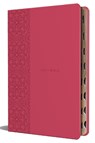 KJV Holy Bible, Large Print Medium Format, Fuchsia Faux Leather W/Ribbon Marker, Red Letter, Thumb Index - Origin - 9798890981851