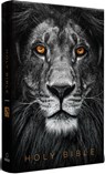 KJV Holy Bible, Large Print, Handy Size Format, Hardcover, Lion of Judah, Ribbon Marker, and Red Letter - Origin - 9798890982582