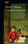 La edad de la punzada / The Age of the Sting - Xavier Velasco - 9798890986641