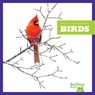 Birds - Jenna Lee Gleisner - 9798892136938