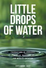 Little Drops of Water - Kofi Afari Dodi - 9798892214452
