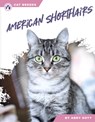 American Shorthairs - Abby Doty - 9798892503440