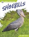 Shoebills - Abby Doty - 9798892503600