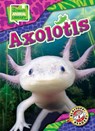Axolotls - Chris Bowman - 9798893042375