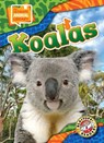 Koalas - Janie Scheffer - 9798893042412