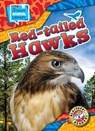 Red-Tailed Hawks - Chris Bowman - 9798893042436
