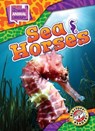 Sea Horses - Chris Bowman - 9798893042450