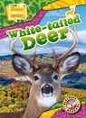 White-Tailed Deer - Janie Scheffer - 9798893042467