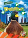 Ducks - Mari C. Schuh - 9798893044294