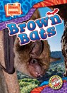 Brown Bats - Janie Scheffer - 9798893044645