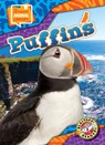 Puffins - Chris Bowman - 9798893044720