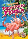 Flamingo Flocks - Rachel Grack - 9798893045116