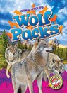 Wolf Packs - Rachel Grack - 9798893045154