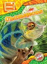 Chameleons - Janie Scheffer - 9798893047912