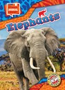 Elephants - Chris Bowman - 9798893047929