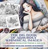 The Big Book of Absurdly Whimsical Images - Sam Bianchi - 9798893210064