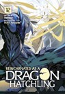 Reincarnated as a Dragon Hatchling (Light Novel) Vol. 12 - Necoco - 9798893734676