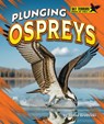 Plunging Ospreys - Jenna Grodzicki - 9798895770573