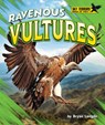 Ravenous Vultures - Bryan Langdo - 9798895770603