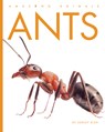 Ants - Ashley Gish - 9798895814246