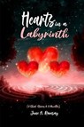 Hearts in a Labyrinth - June A. Ramsay - 9798896043539