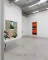 Jonas Wood: Plants and Animals - Jonas Wood - 9798986545219