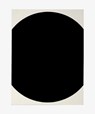 Ellsworth Kelly - Ellsworth Kelly - 9798987425411