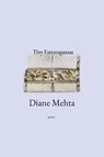 Tiny Extravaganzas - Diane Mehta - 9798987924112