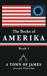 The Books of Amerika - Joseph Eldredge - 9798988213208