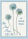 Bits And Pieces Of Me - Randy Hayes - 9798989644735