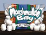Marshmallow Billy - Molly Anders - 9798990931725