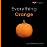 Everything Orange: A joyful concept book designed for every learner - M. Ed Amy Shepherd - 9798993732527