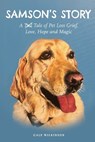 Samson's Story - Gale Wilkinson - 9798998588112