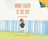What Color is the Sky - Josh Bell - 9798999076335