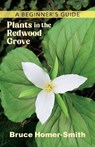 Plants in the Redwood Grove: A Beginner's Guide - Homer-Smith - 9798999198808