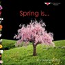 Spring is...: A Joyful Exploration of Spring Through Rhythm, Repetition, and Inclusive Design - M. Ed Amy Shepherd - 9798999882257